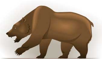 Bear is bad for the market