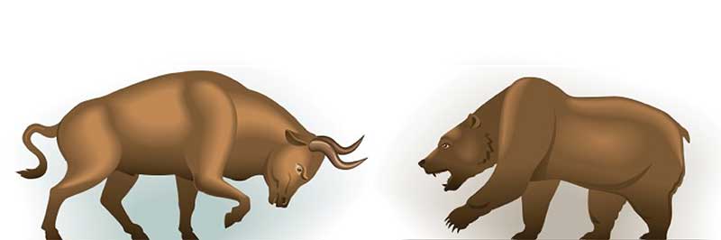 Bull vs Bear